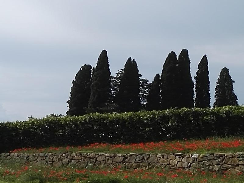 Castel Brunello image