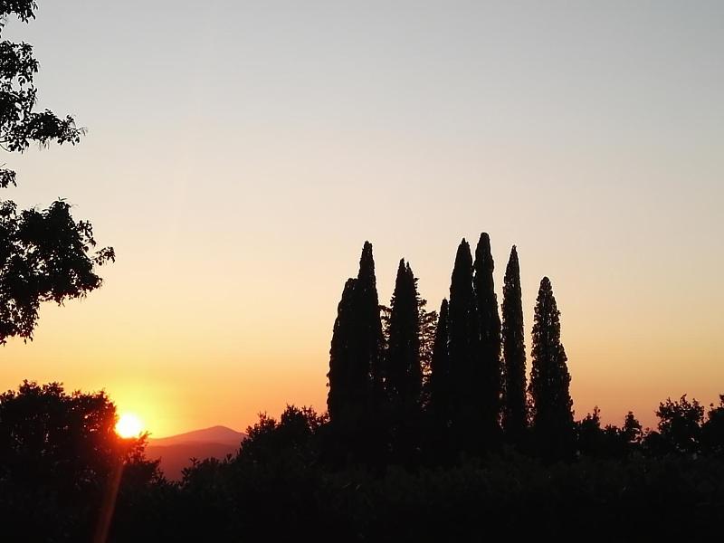 Castel Brunello image