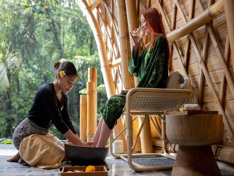 Sanna Ubud A Pramana Experience image