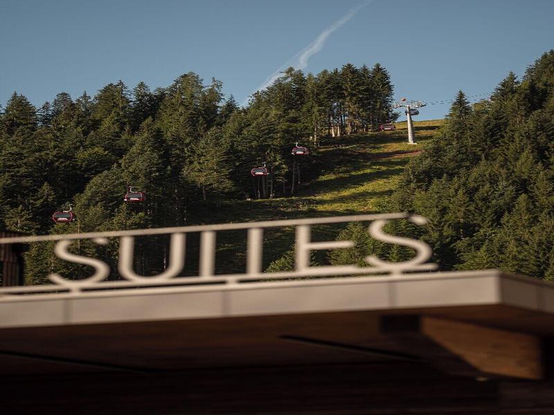 Adea Lifestyle Suites image
