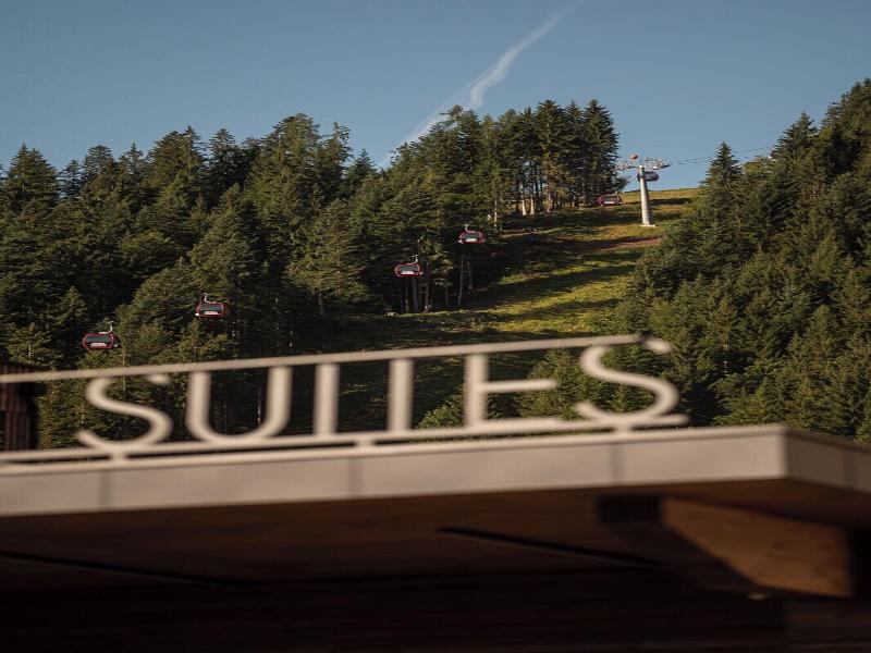Adea Lifestyle Suites image
