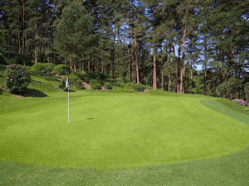Old Thorns Hotel, Golf and Country Estate image