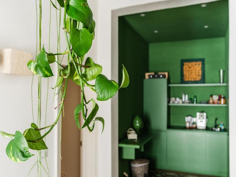 Orazio33 B&b image