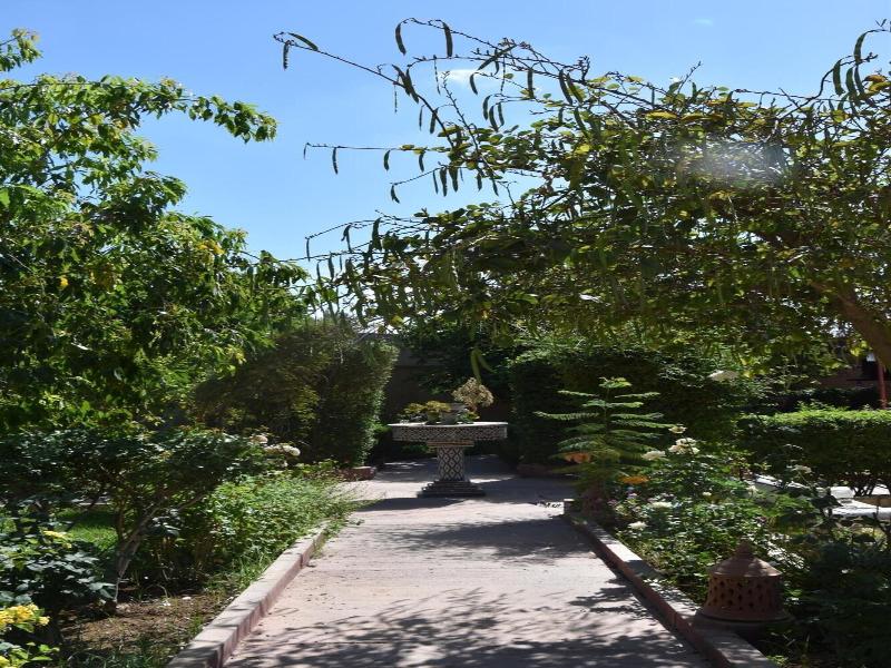Dar Zitoune image
