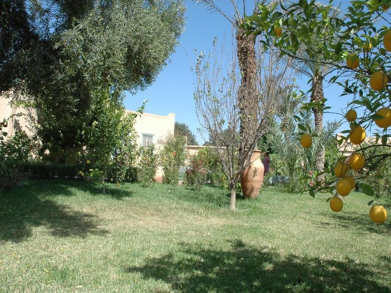 Dar Zitoune image