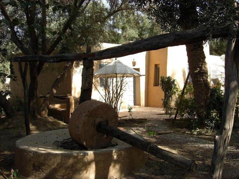 Dar Zitoune image