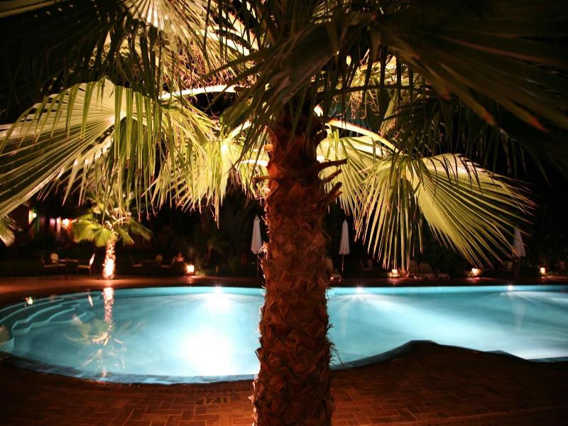 Dar Zitoune image