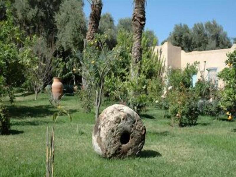 Dar Zitoune image
