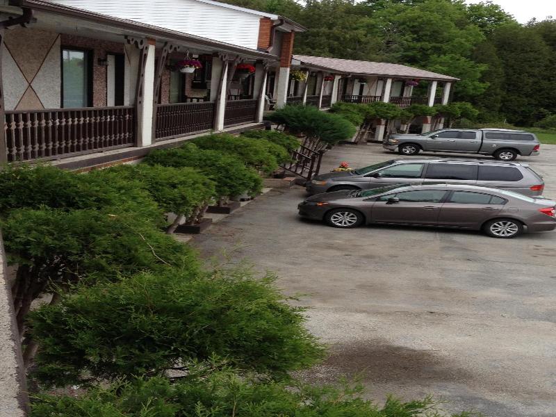 Cedar Springs Motel image