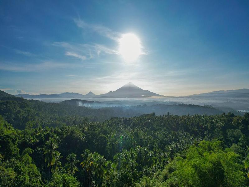 Bobocabin Bunaken Hills