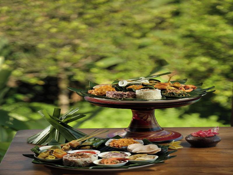 Devani Resort Sidemen image