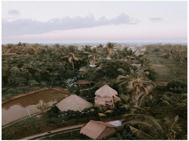 Firefly Eco Lodge image