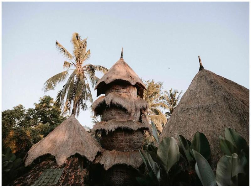 Firefly Eco Lodge image