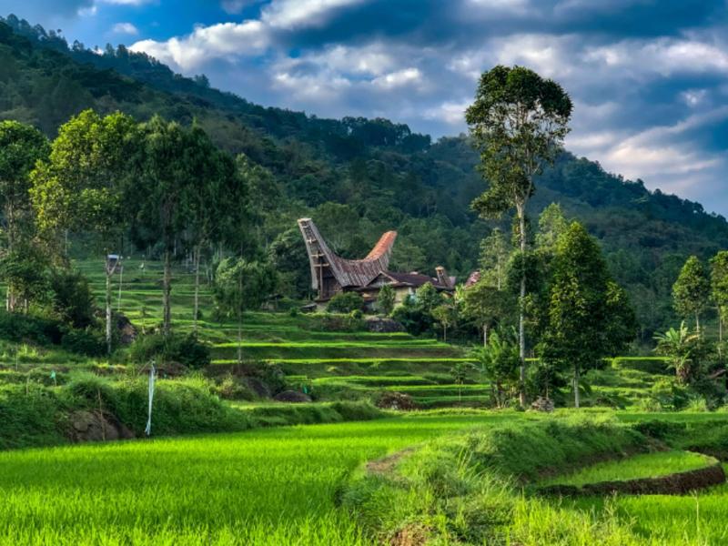 Santai Toraja