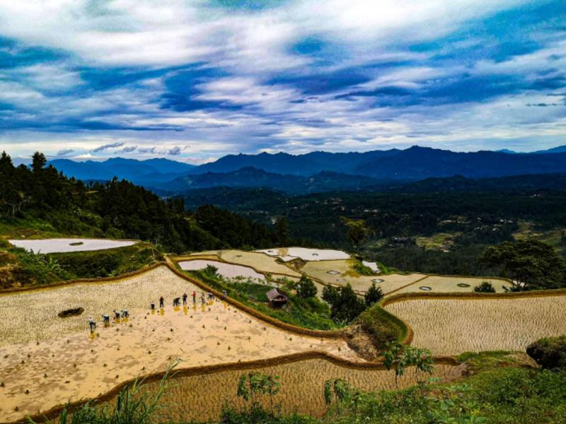 Santai Toraja