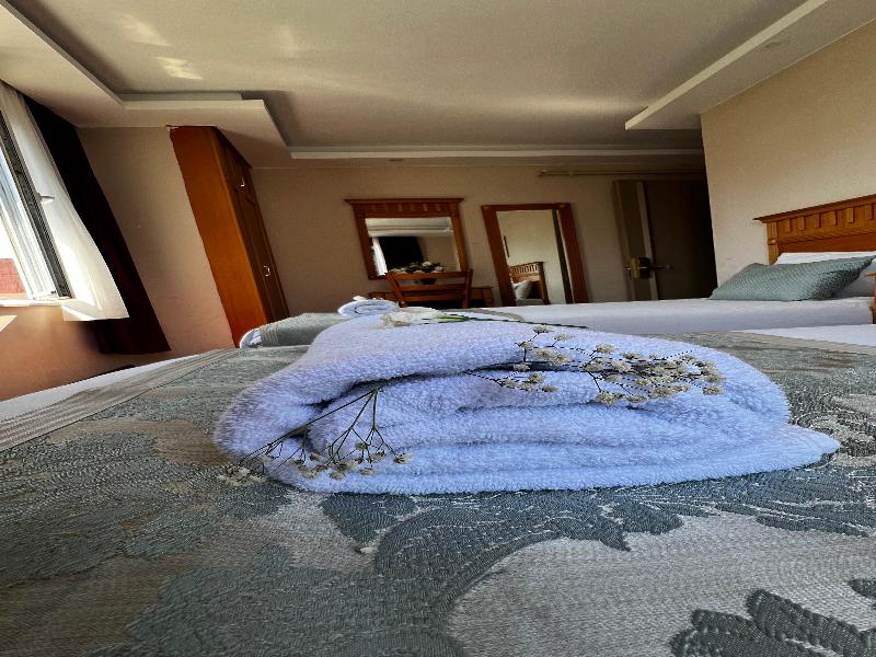 Park Star Hotel Taksim image