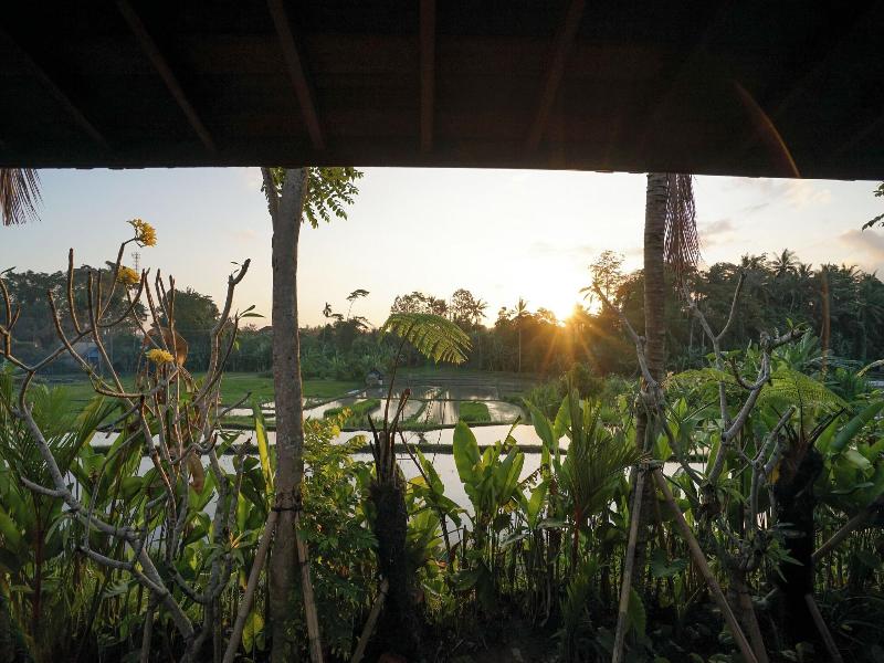 Ubud Art Resort image