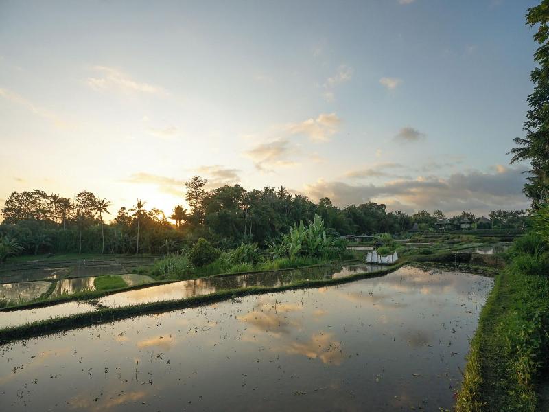 Ubud Art Resort image