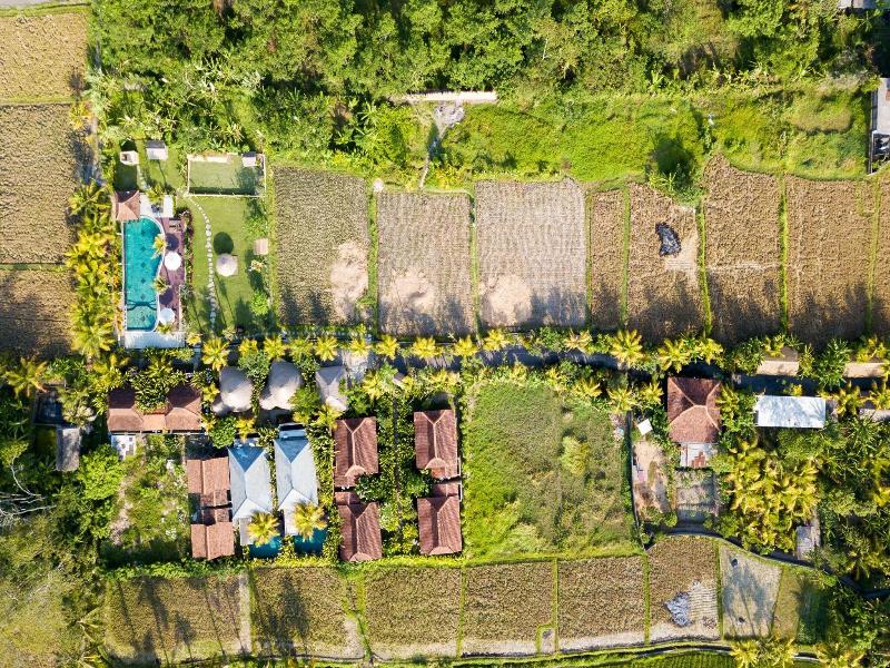 Ubud Art Resort image