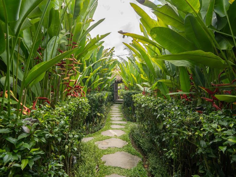 Ubud Art Resort image
