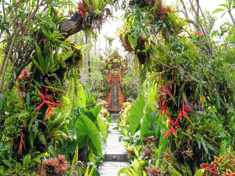 Ubud Art Resort image