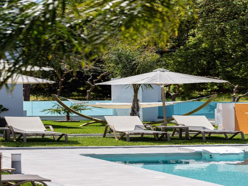Coconut Palm Paradise image