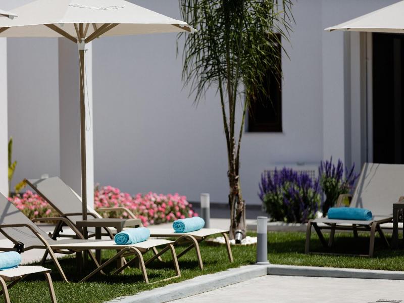 Coconut Palm Paradise image