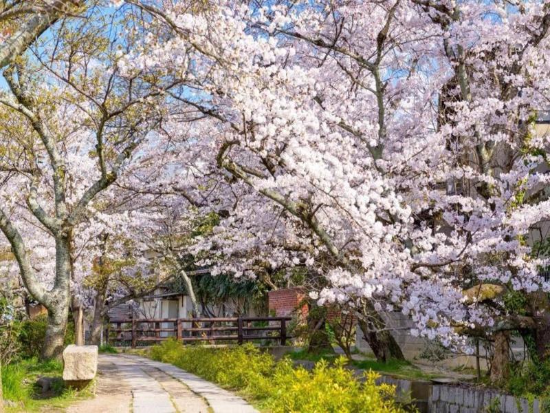 Slowtime Hotel Kyoto image