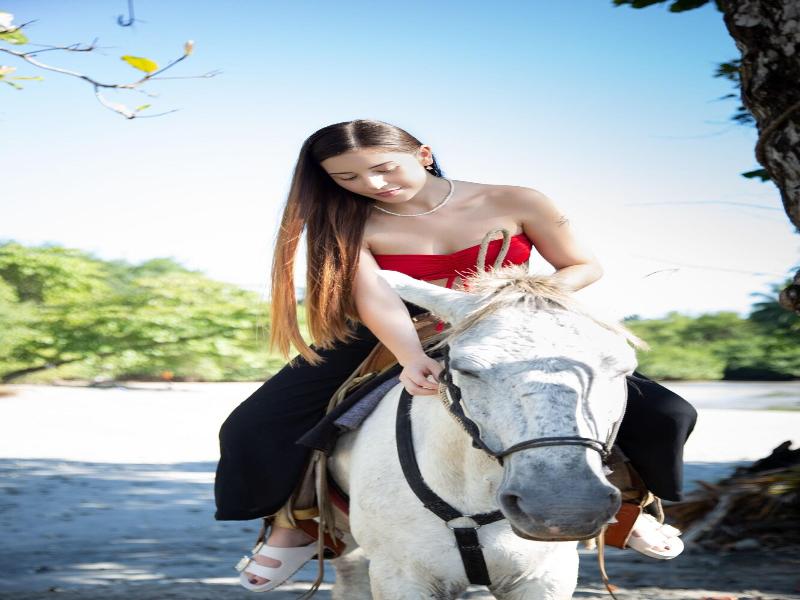 Casa Lamia image