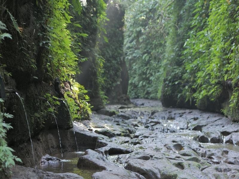 Pramana Giri Kusuma image