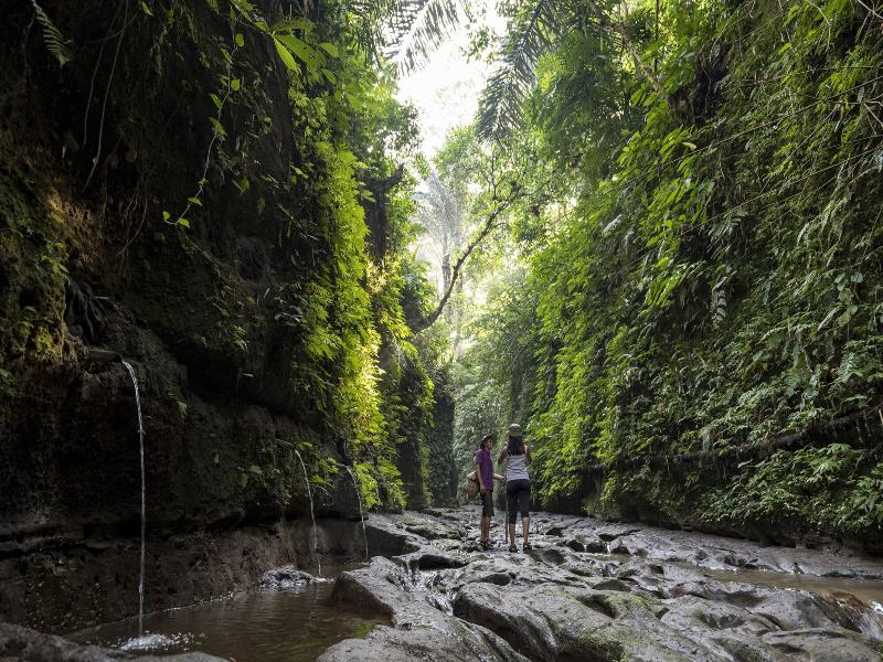 Pramana Giri Kusuma image