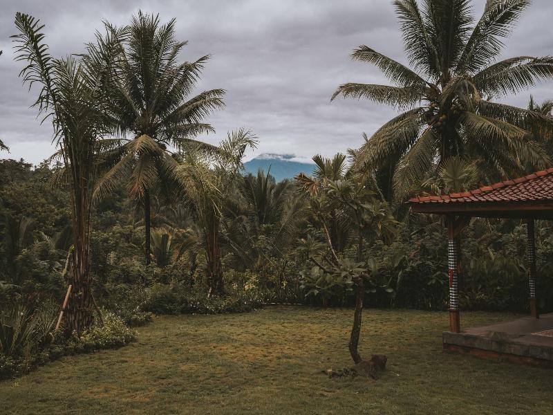 Kusfarm Bali image