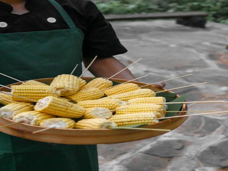 Kusfarm Bali image