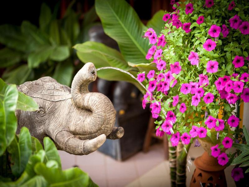 Chandara Boutique Hotel image