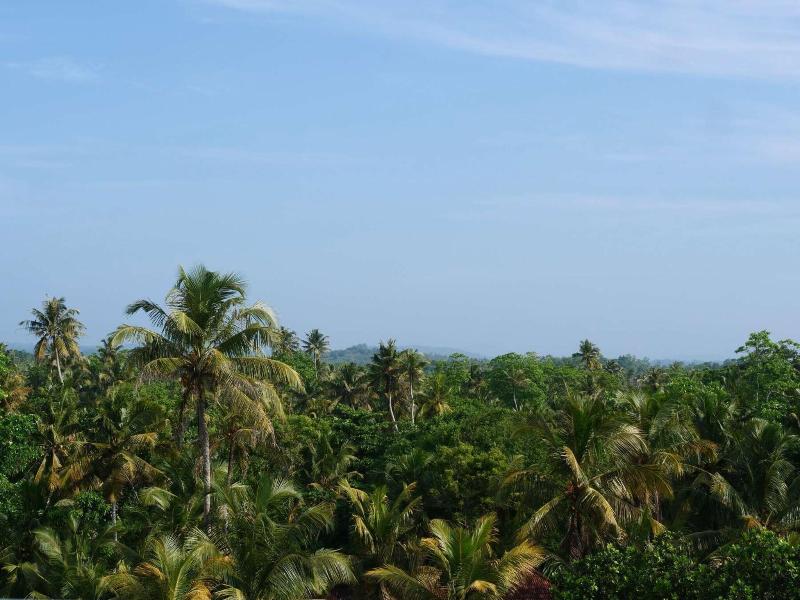Coast 67 image