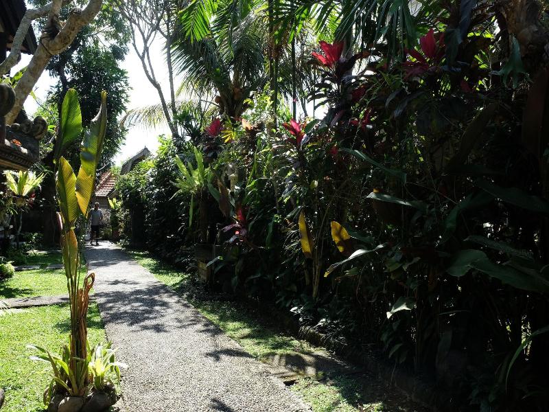 Suastika Bed And Breakfast image