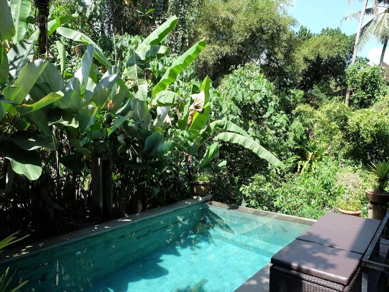 Suastika Bed And Breakfast image