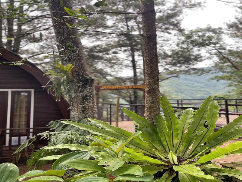 Pijar Resort Powered By Cocotel
