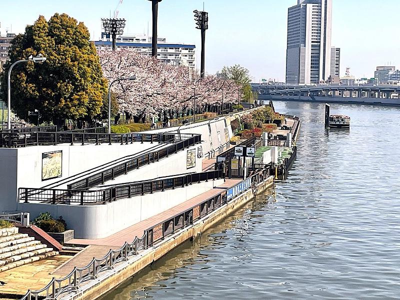 Hotel Amanek Asakusa Sakurabashi image