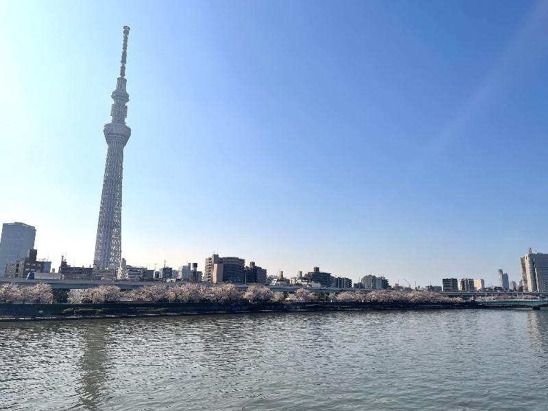 Hotel Amanek Asakusa Sakurabashi image
