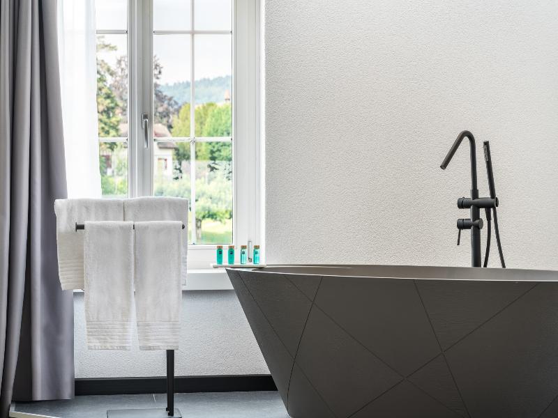 Hotel Rheingerbe image