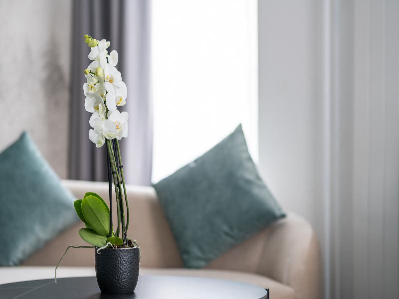 Hotel Rheingerbe image