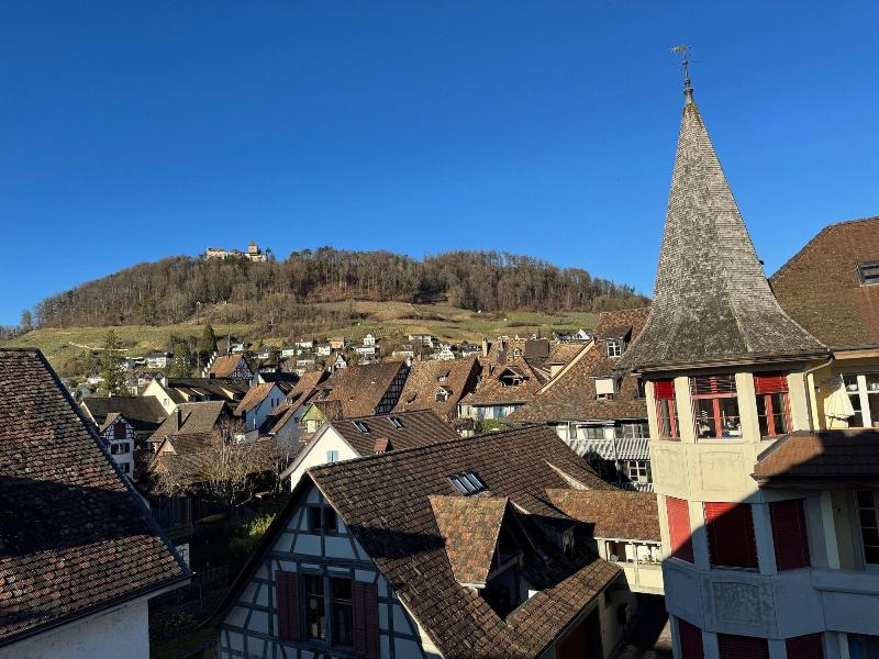 Hotel Rheingerbe image