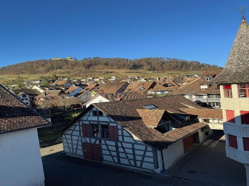 Hotel Rheingerbe image