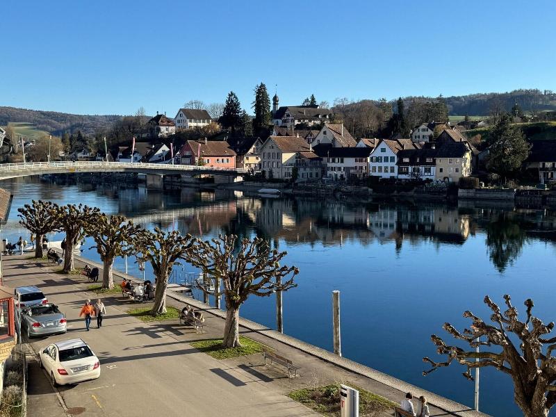 Hotel Rheingerbe image