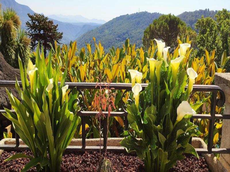 Loup Castel Boutique Hotel B&b image