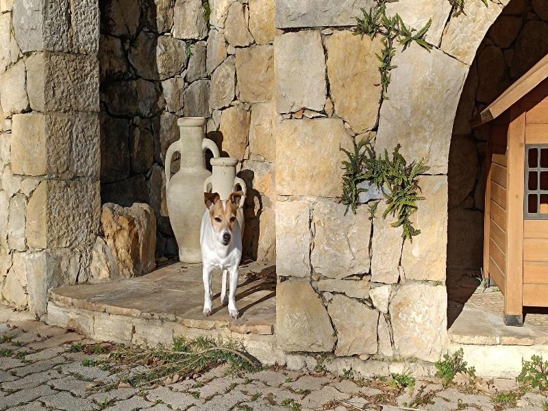 Loup Castel Boutique Hotel B&b image