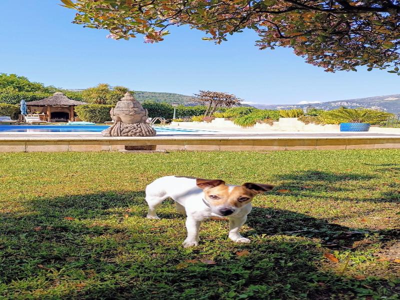 Loup Castel Boutique Hotel B&b image