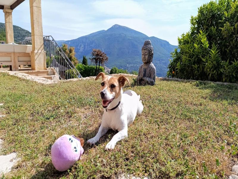 Loup Castel Boutique Hotel B&b image