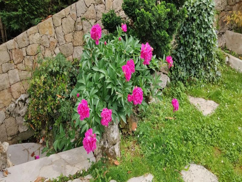 Loup Castel Boutique Hotel B&b image